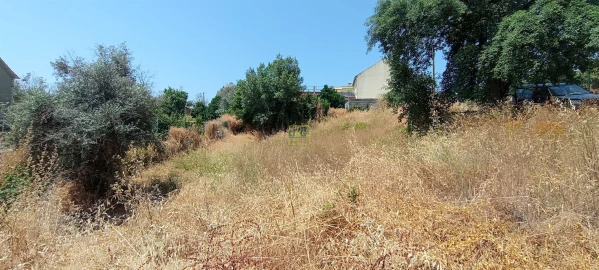 Terreno Agricola ou Rústico para Venda em Ninho do Açor e Sobral do Campo