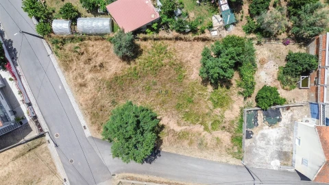 Terreno Agricola ou Rústico para Venda em Ninho do Açor e Sobral do Campo