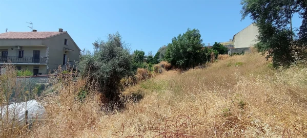 Terreno Agricola ou Rústico para Venda em Ninho do Açor e Sobral do Campo