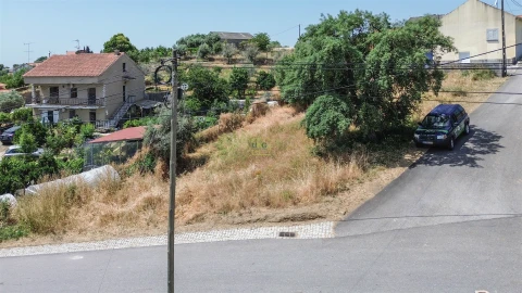 Terreno Agricola ou Rústico para Venda em Ninho do Açor e Sobral do Campo