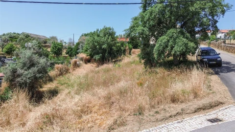 Terreno Agricola ou Rústico para Venda em Ninho do Açor e Sobral do Campo