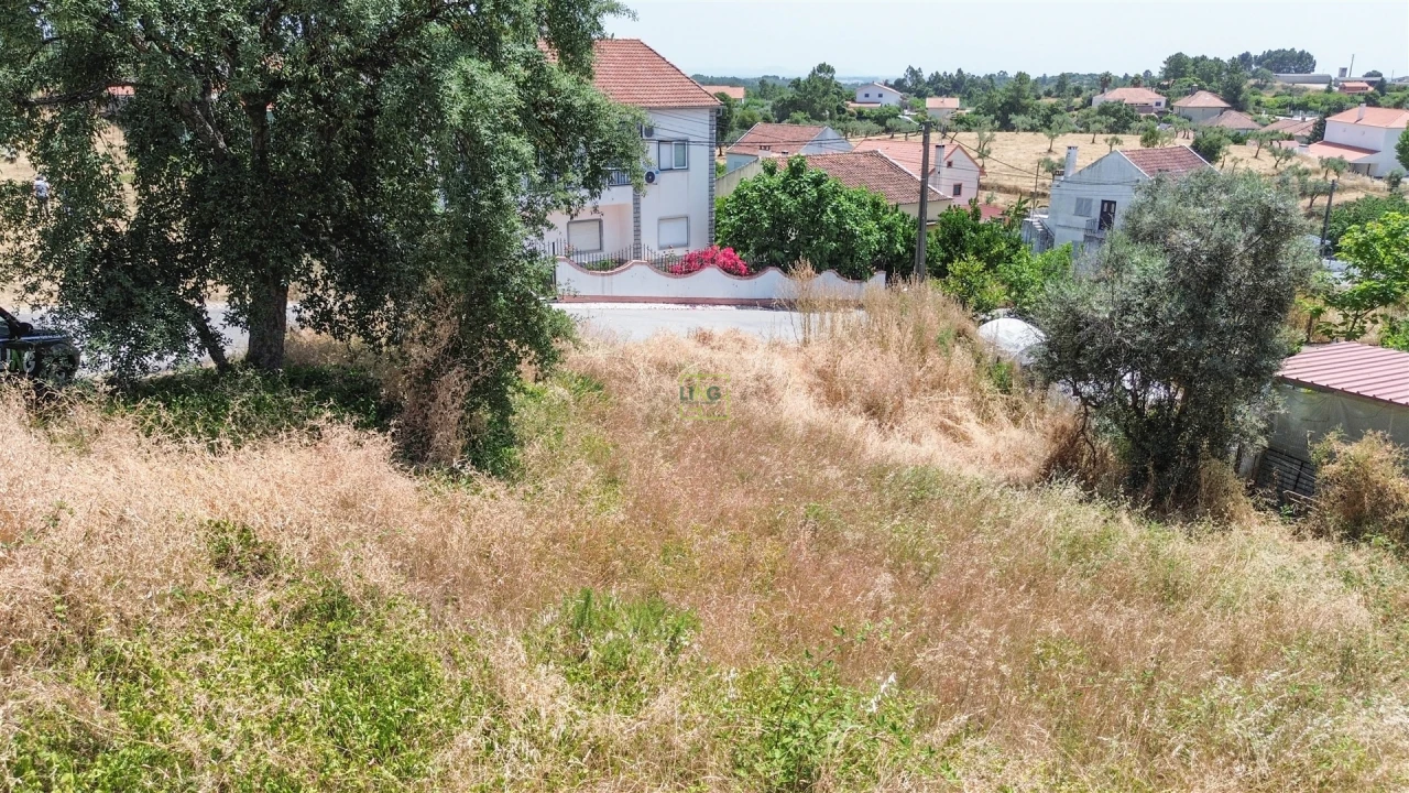 Terreno Agricola ou Rústico para Venda em Ninho do Açor e Sobral do Campo Foto 22