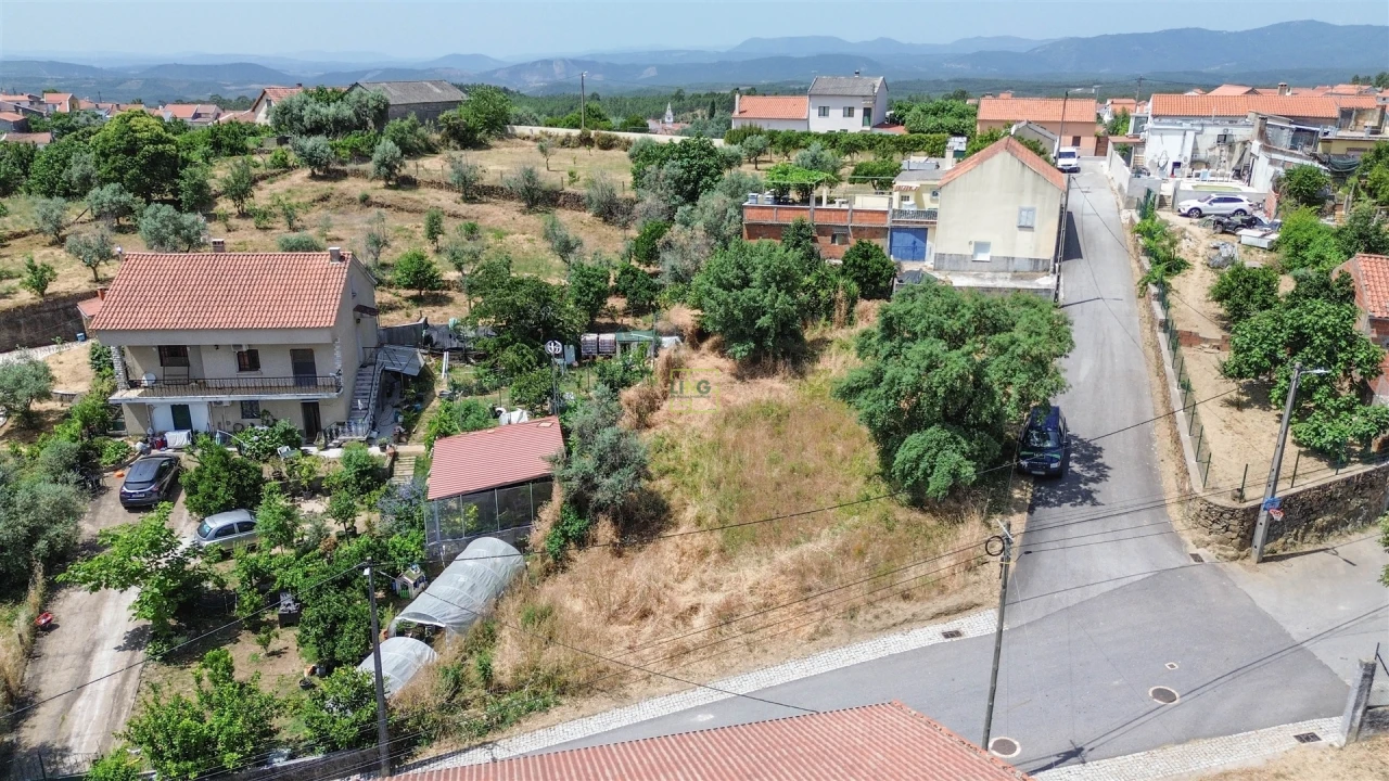 Terreno Agricola ou Rústico para Venda em Ninho do Açor e Sobral do Campo Foto 13
