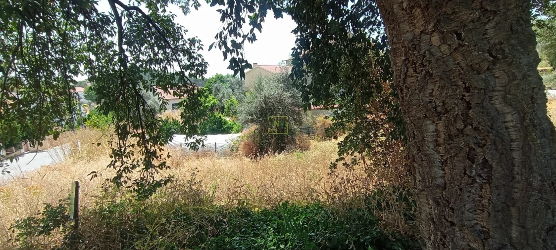 Terreno Agricola ou Rústico para Venda em Ninho do Açor e Sobral do Campo Foto 25