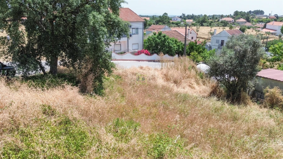 Terreno Agricola ou Rústico para Venda em Ninho do Açor e Sobral do Campo Foto 22