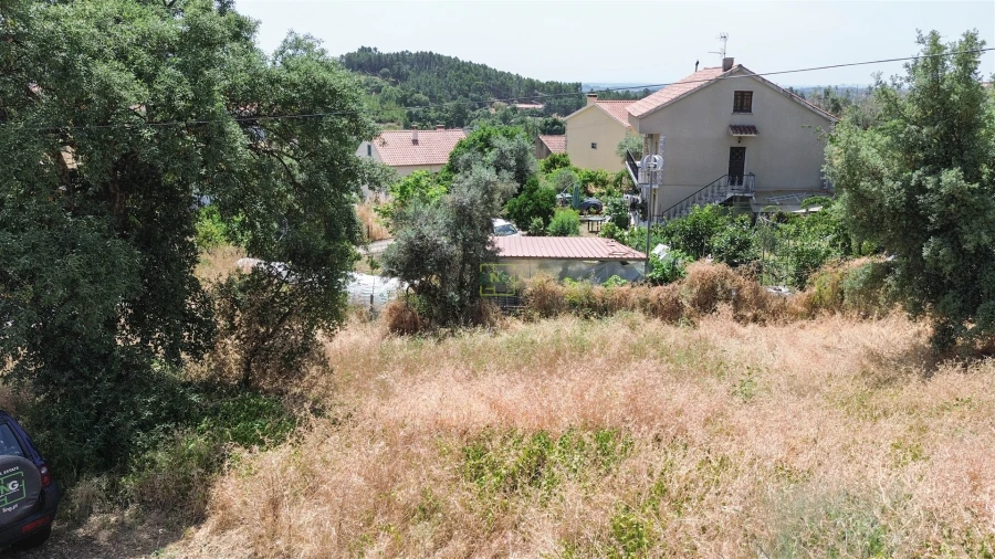 Terreno Agricola ou Rústico para Venda em Ninho do Açor e Sobral do Campo Foto 10