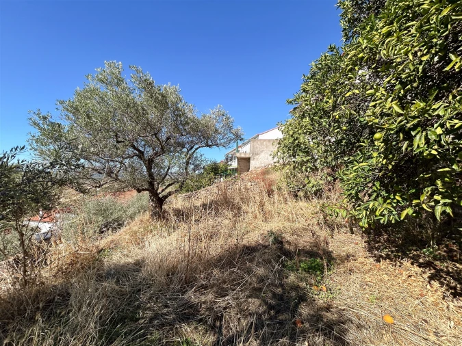 Moradia T2 para Venda em Penha Garcia Foto 56