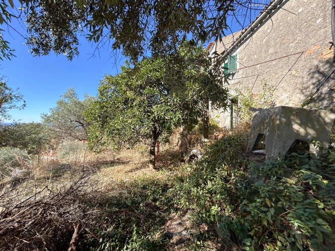 Moradia T2 para Venda em Penha Garcia Foto 54