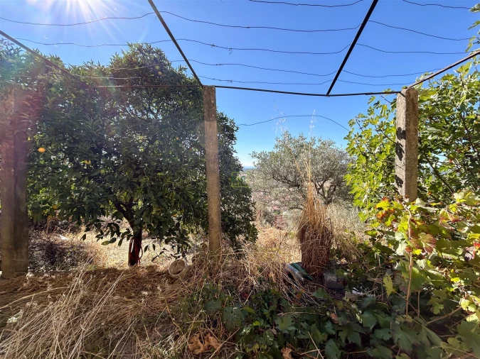 Moradia T2 para Venda em Penha Garcia Foto 50