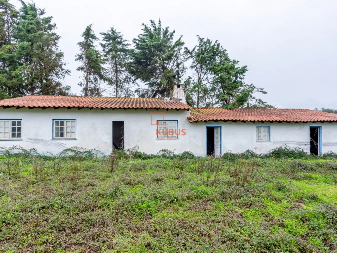 Armazém para Venda em Olaia e Paço Foto 12