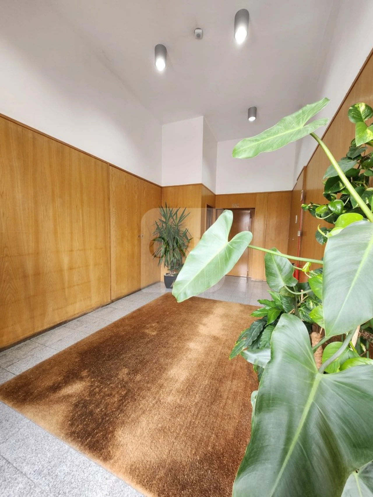 Apartamento T3 para Venda em Nossa Senhora da Conceição, São Pedro e São Dinis Foto 23