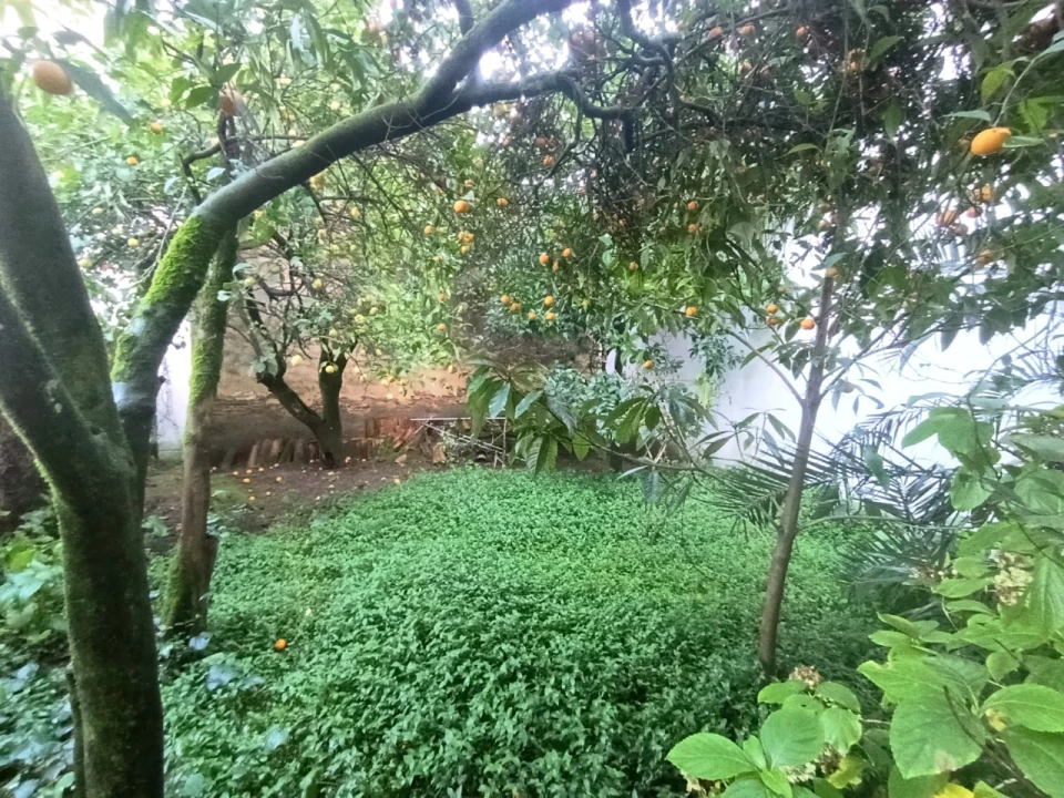 Moradia T3 para Venda em Sardoal Foto 23