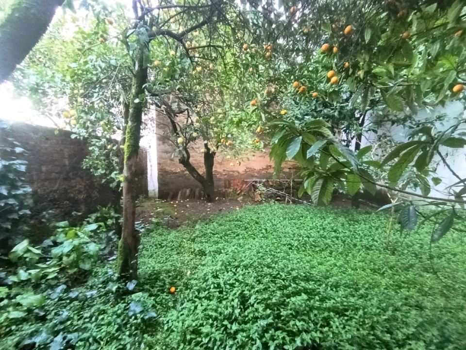 Moradia T3 para Venda em Sardoal Foto 21