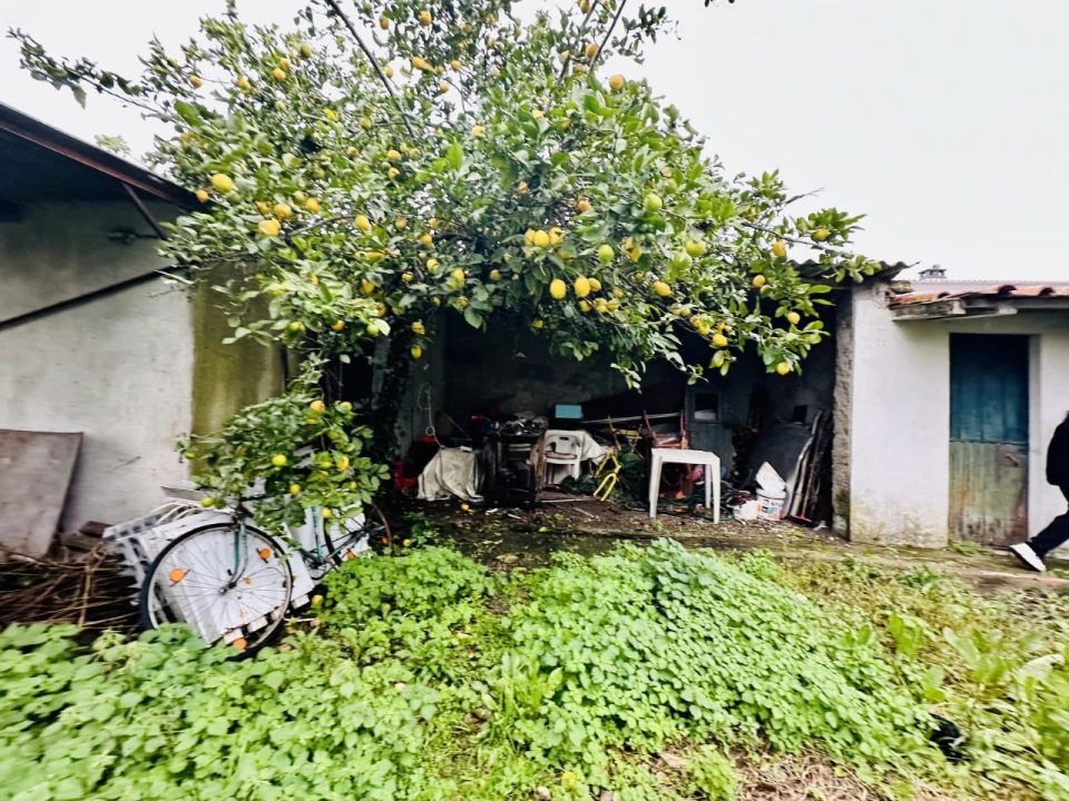 Moradia T3 para Venda em Abrantes (São Vicente e São João) e Alferrarede Foto 22