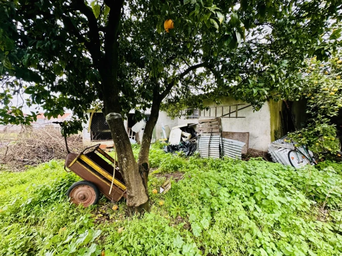 Moradia T3 para Venda em Abrantes (São Vicente e São João) e Alferrarede Foto 24