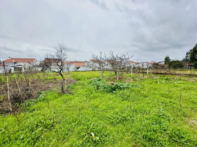 Moradia T3 para Venda em Abrantes (São Vicente e São João) e Alferrarede Foto 27