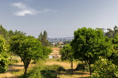 Moradia T4 para Venda em Cervães