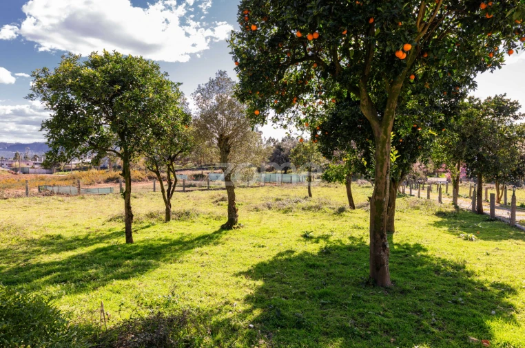 Moradia T4 para Venda em Cervães Foto 4