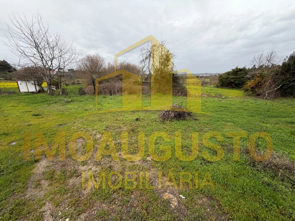 Moradia T3 para Venda em Moimenta da Serra e Vinhó Foto 19