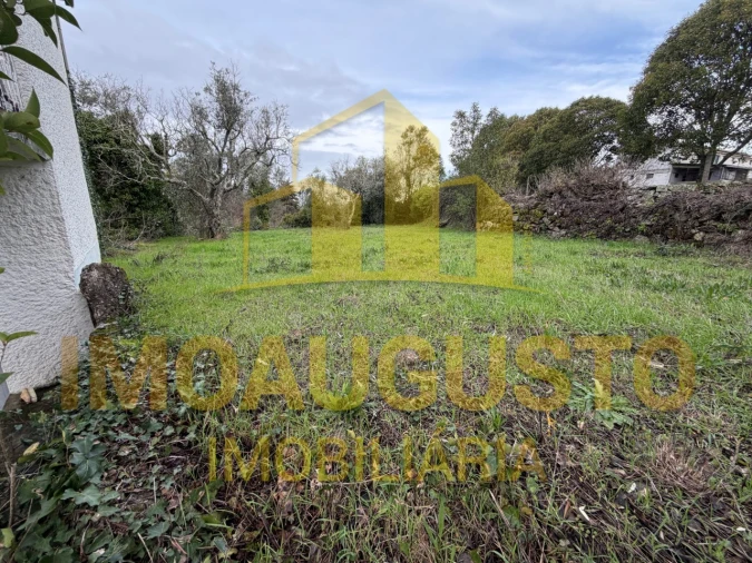 Moradia T3 para Venda em Moimenta da Serra e Vinhó Foto 18