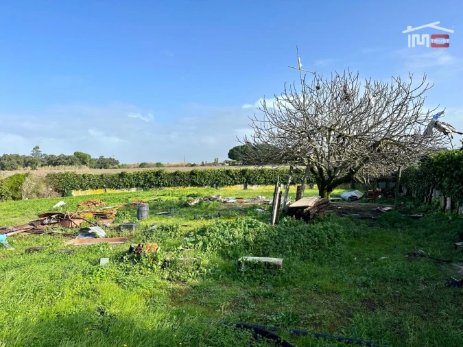 Terreno para Venda em Moita Foto 3