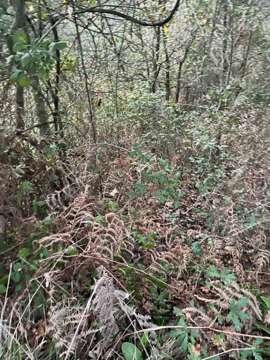 Terreno para Venda em Souselo Foto 12