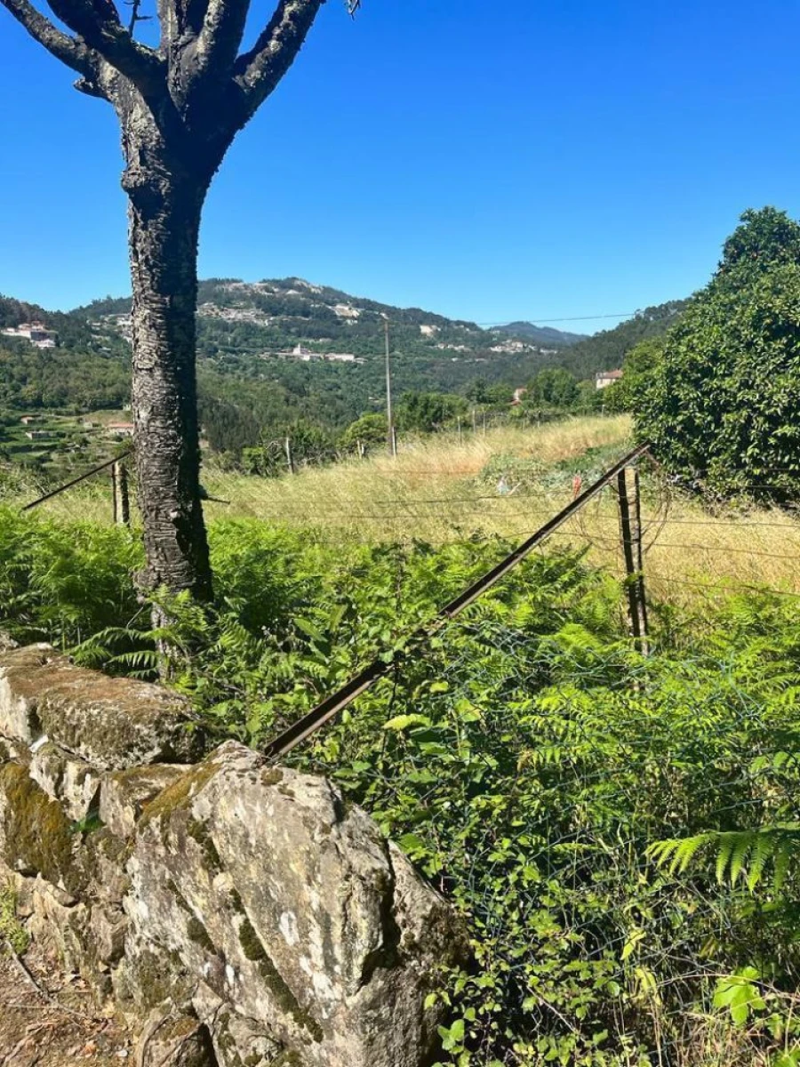 Terreno para Venda em Souselo Foto 8