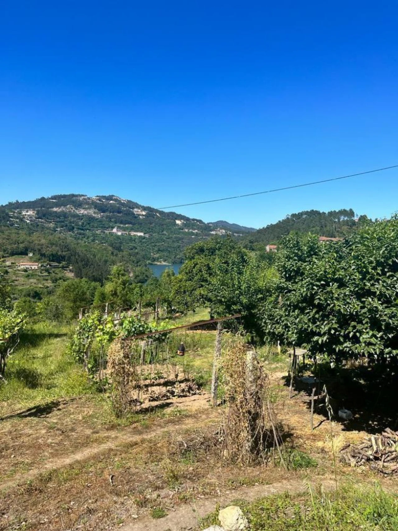 Terreno para Venda em Souselo Foto 7