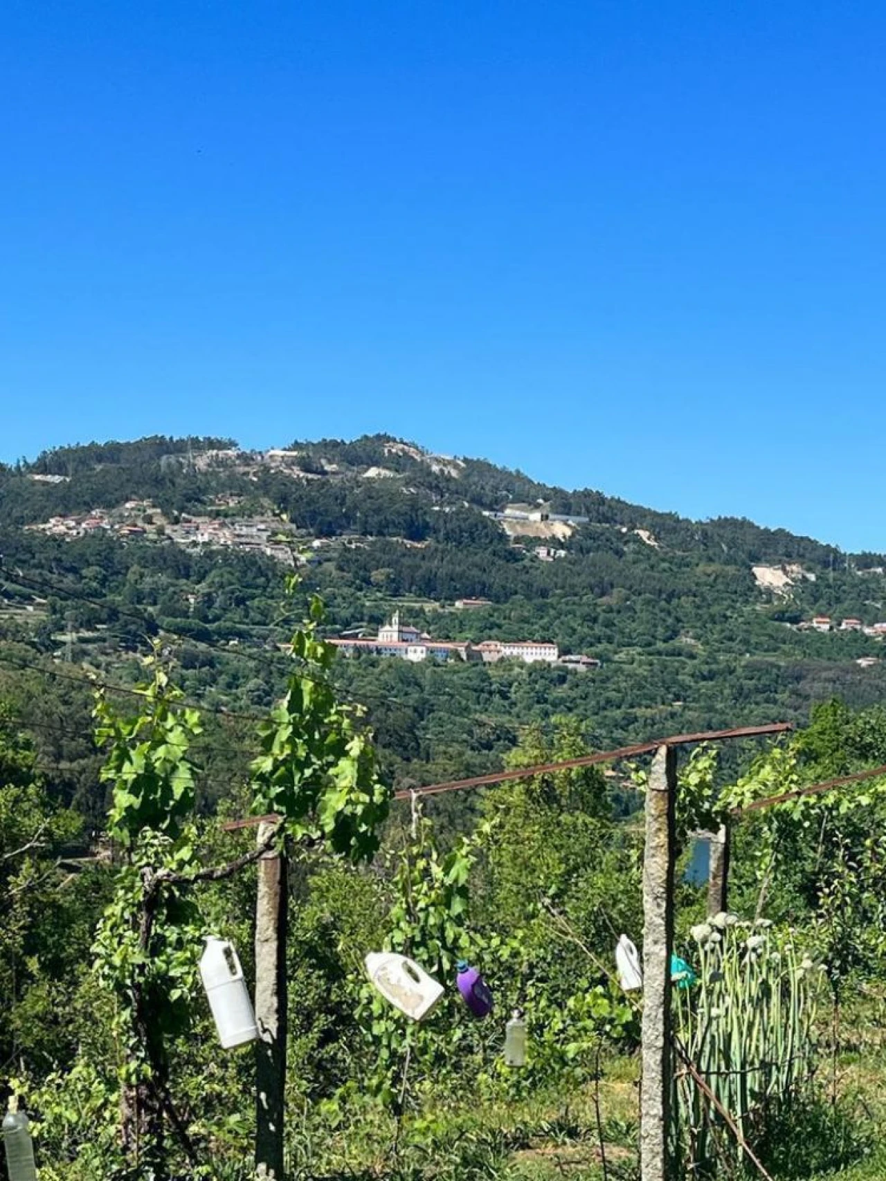 Terreno para Venda em Souselo Foto 4