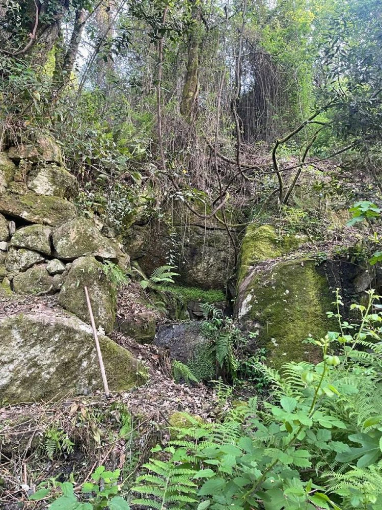 Terreno para Venda em Souselo Foto 18