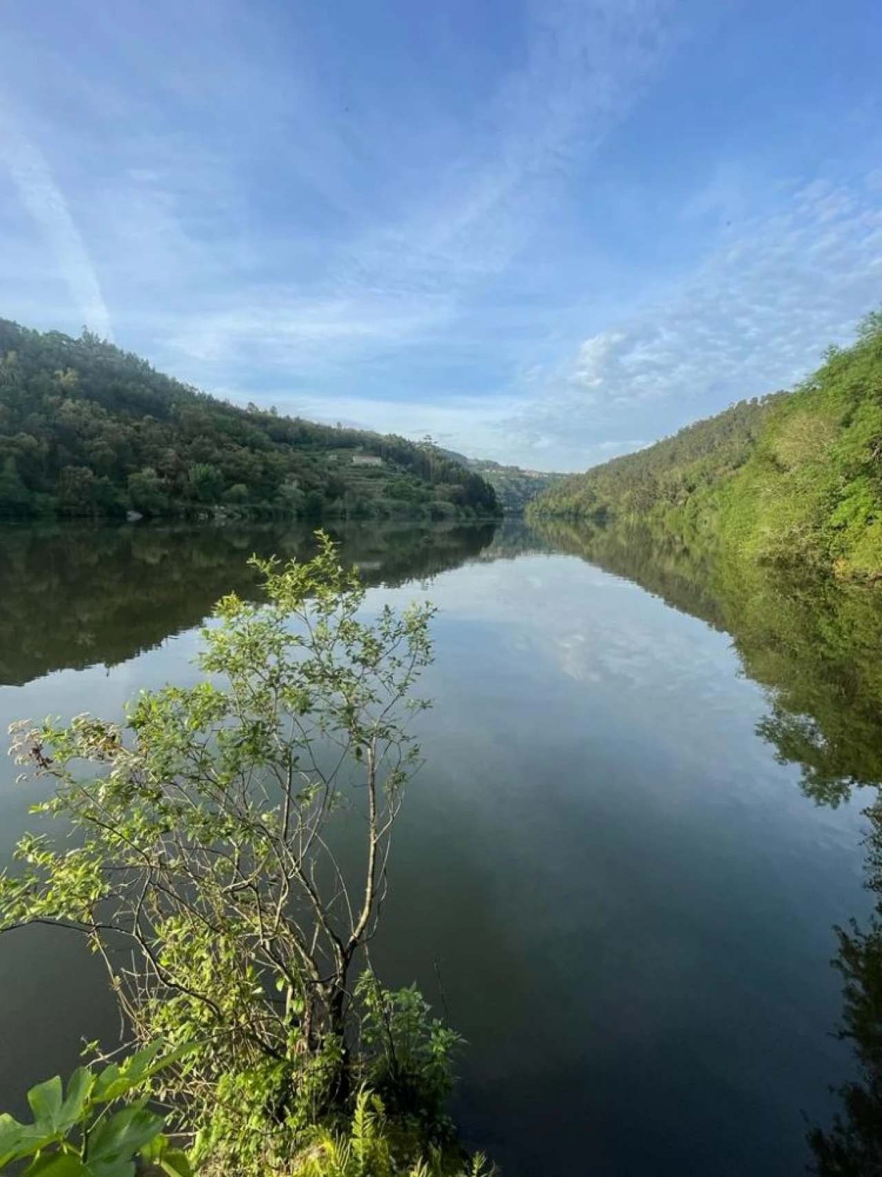 Terreno para Venda em Souselo Foto 34