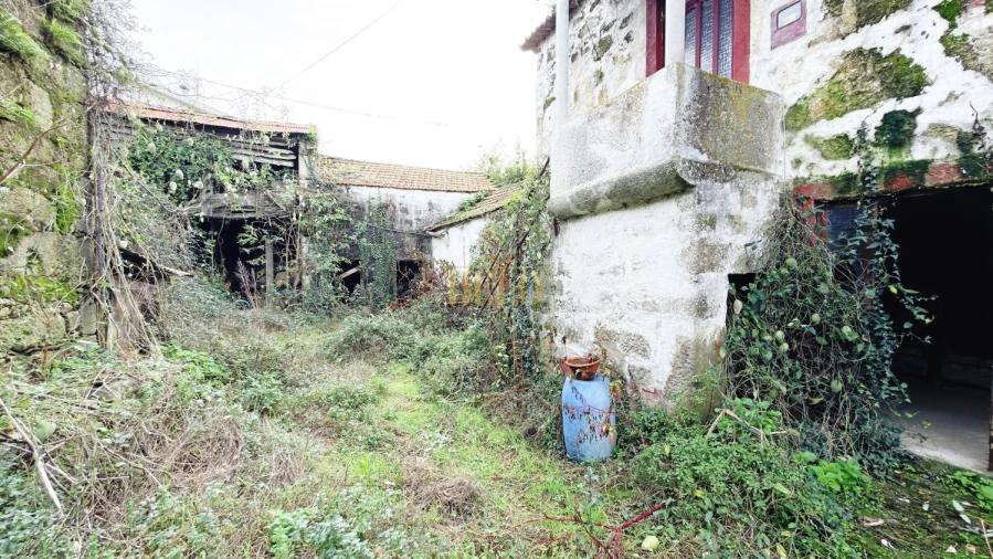 Terreno para Venda em Oliveira do Douro Foto 4