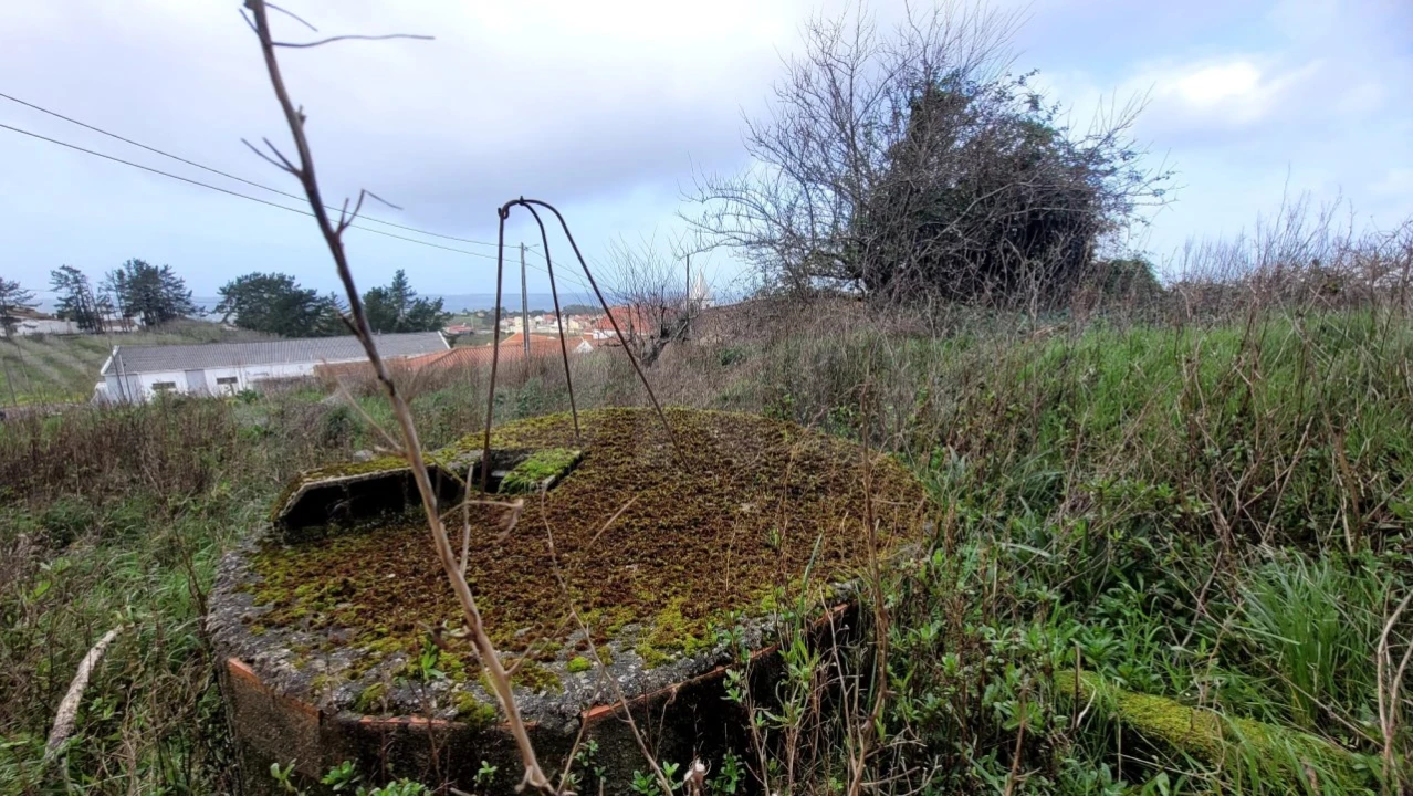 Terreno para Venda em Usseira Foto 3
