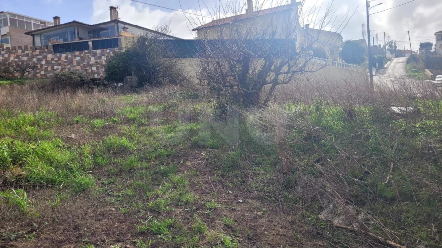 Terreno para Venda em Usseira Foto 8