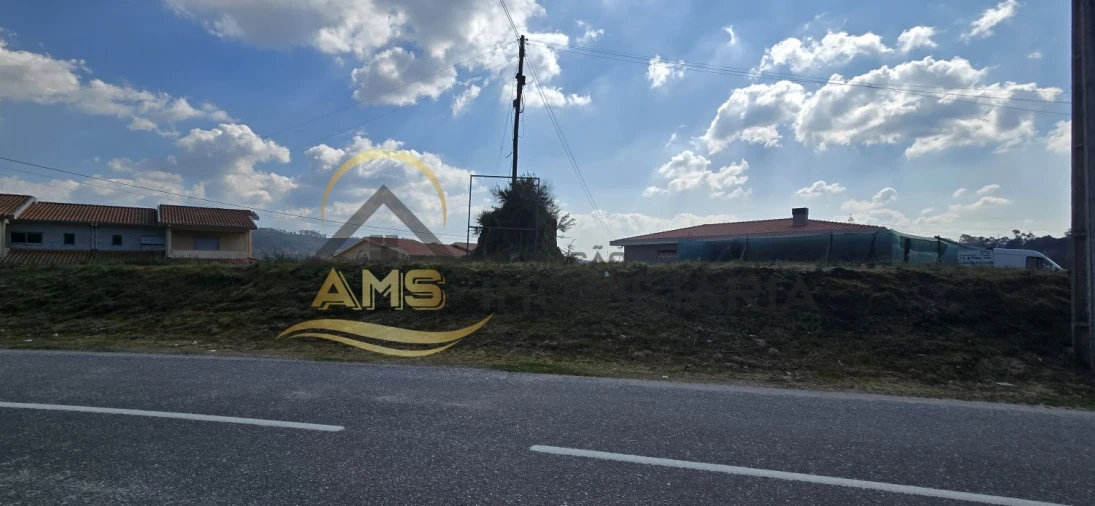 Terreno para Venda em Golães Foto 8