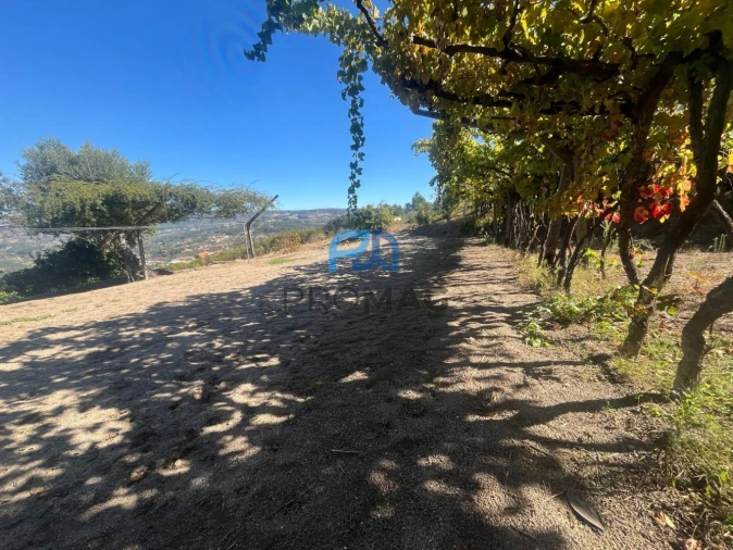 Moradia T3 para Venda em Marco Foto 15