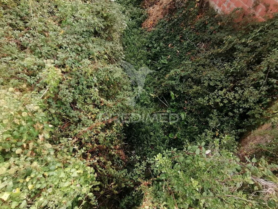 Terreno para Venda em Santo Quintino Foto 6