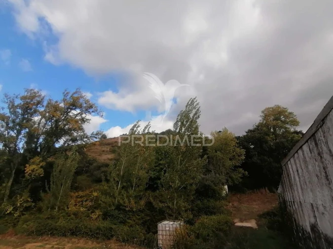 Terreno para Venda em Santo Quintino Foto 3