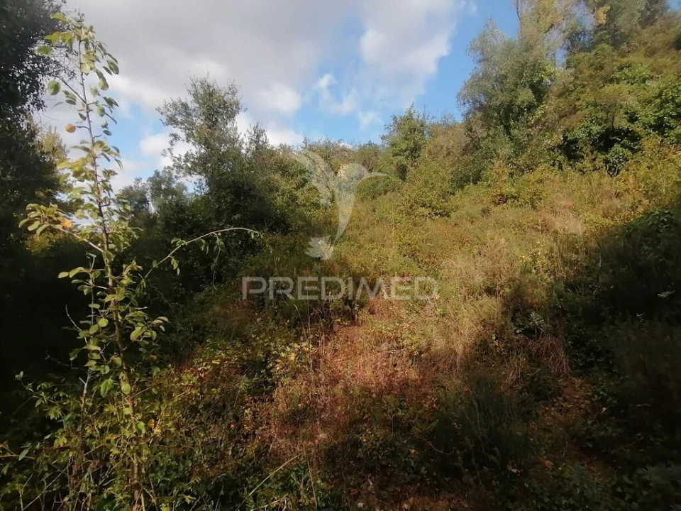 Terreno para Venda em Santo Quintino Foto 1