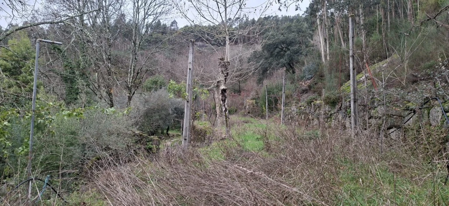 Terreno para Venda em Valdosende Foto 24