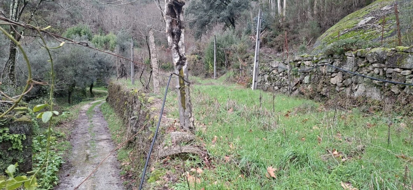 Terreno para Venda em Valdosende Foto 7