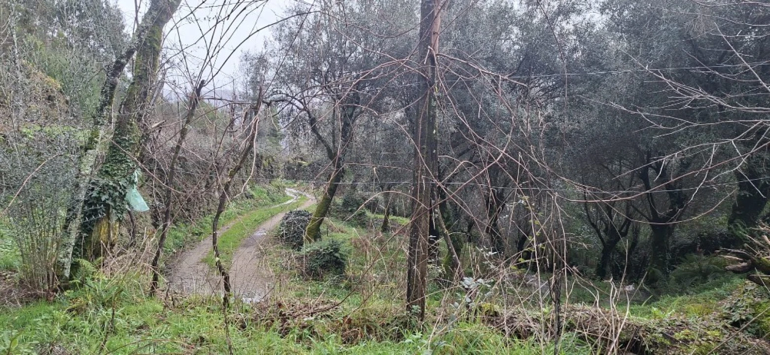 Terreno para Venda em Valdosende Foto 18