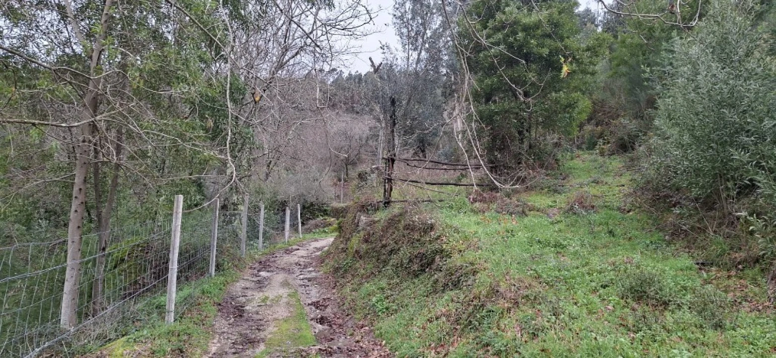 Terreno para Venda em Valdosende Foto 25