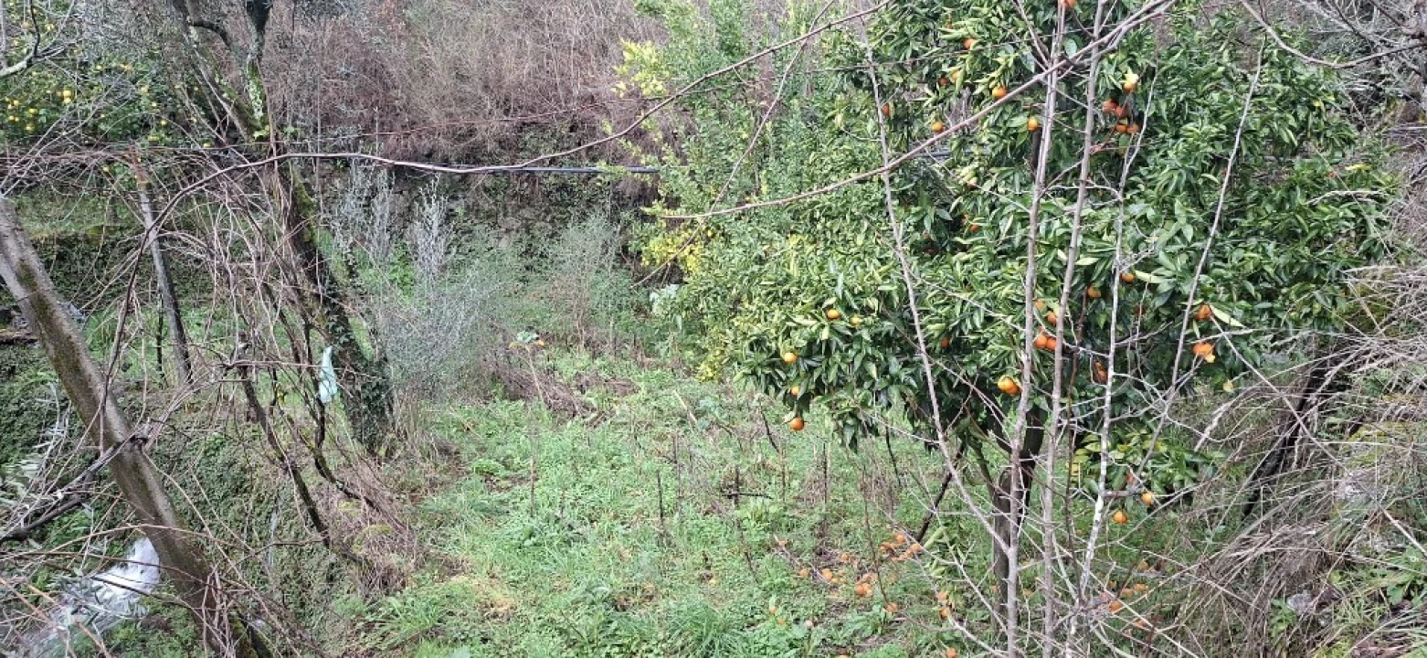 Terreno para Venda em Valdosende Foto 21