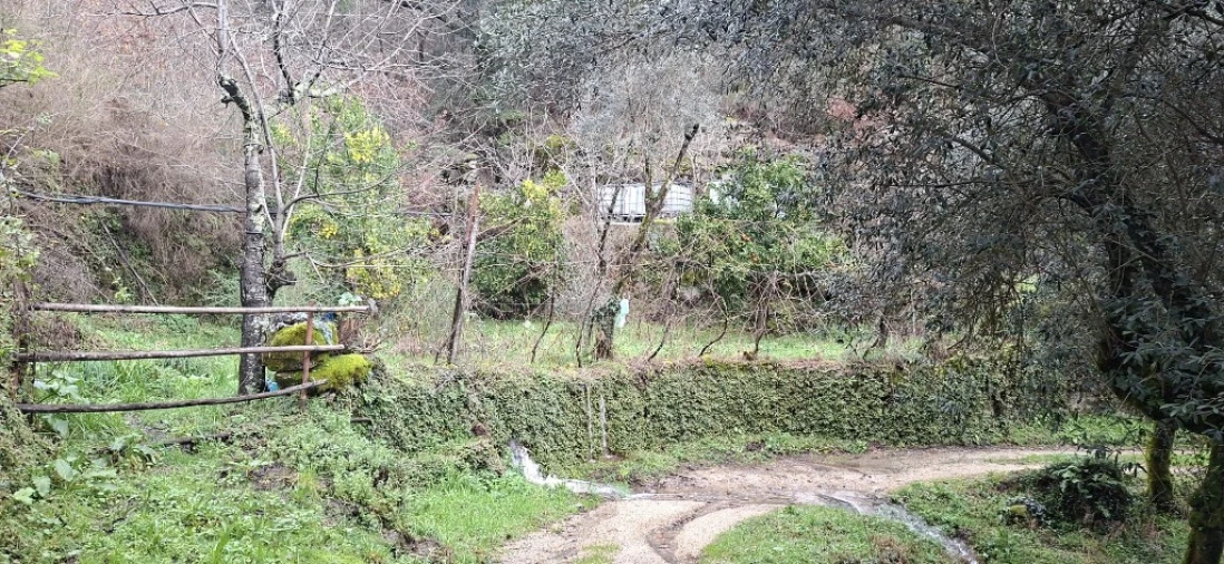 Terreno para Venda em Valdosende Foto 5