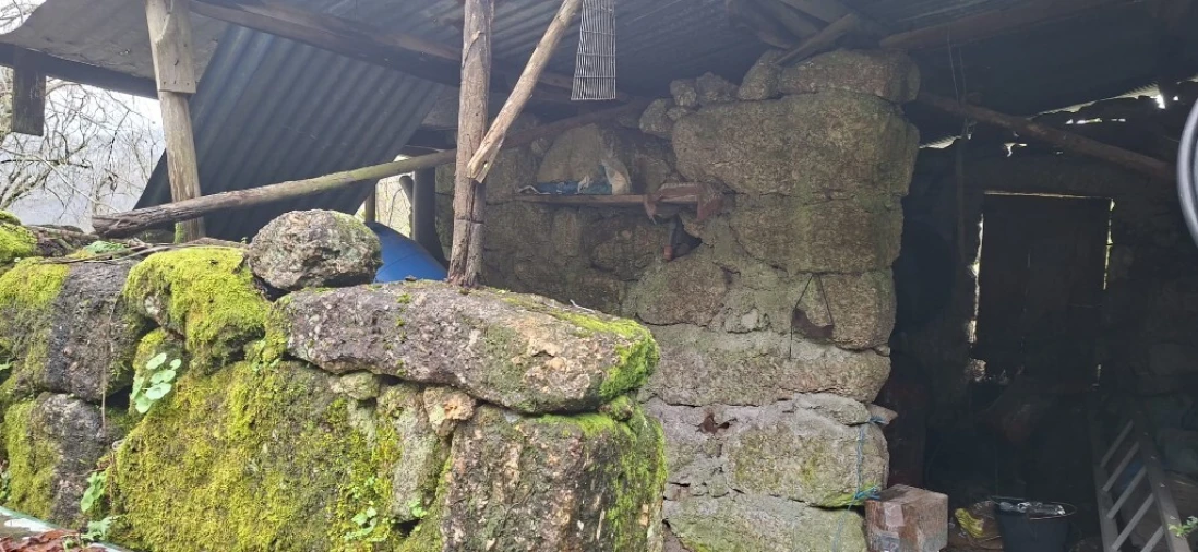 Terreno para Venda em Valdosende Foto 12