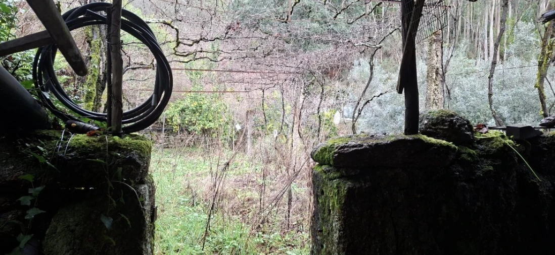 Terreno para Venda em Valdosende Foto 13