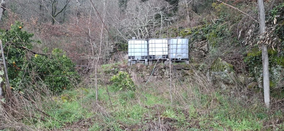 Terreno para Venda em Valdosende Foto 22