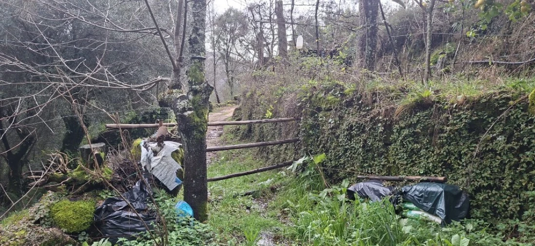 Terreno para Venda em Valdosende Foto 20