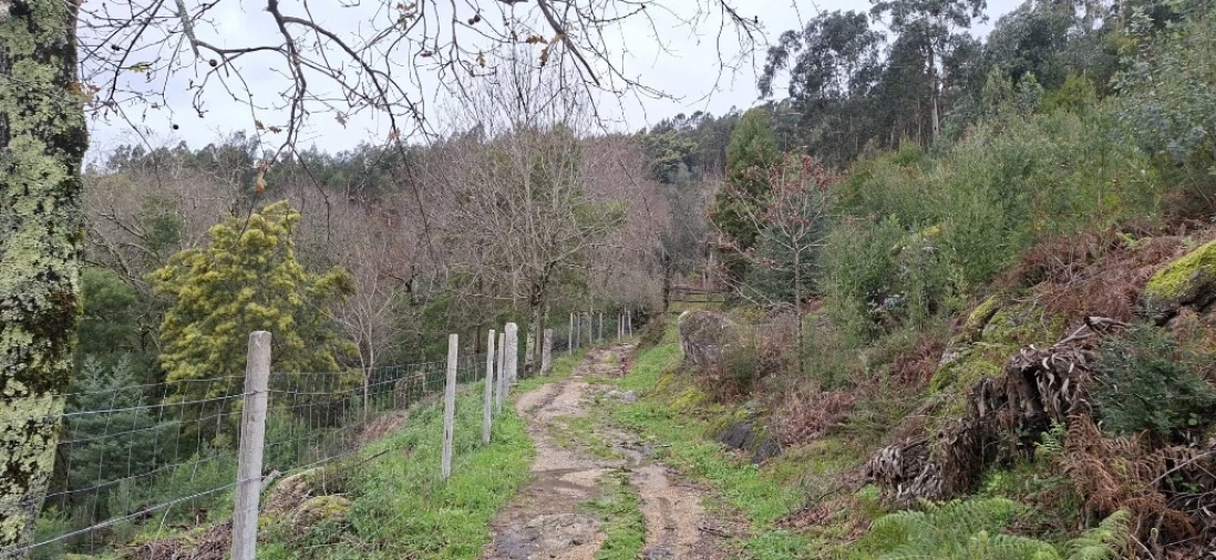 Terreno para Venda em Valdosende Foto 26